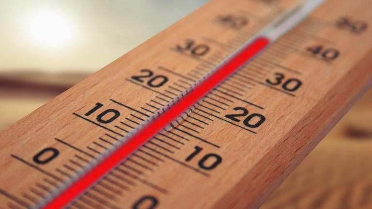 caldo-1-768x439-1-aspect-ratio-1000-560