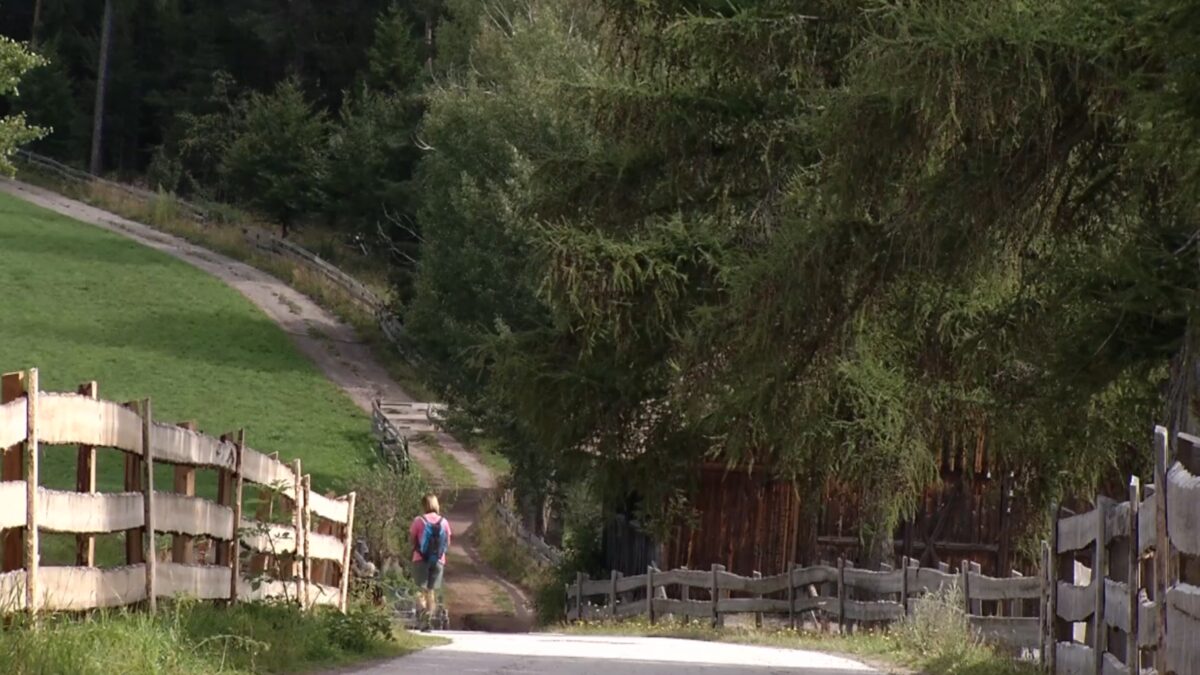 La politica va in vacanza o…quasi.