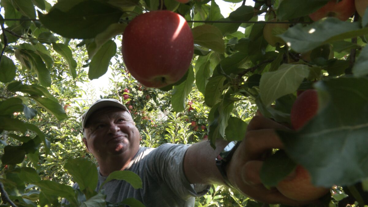 Screenshot-2025-08-11-alle-12.33.09-scaled-aspect-ratio-1200-675