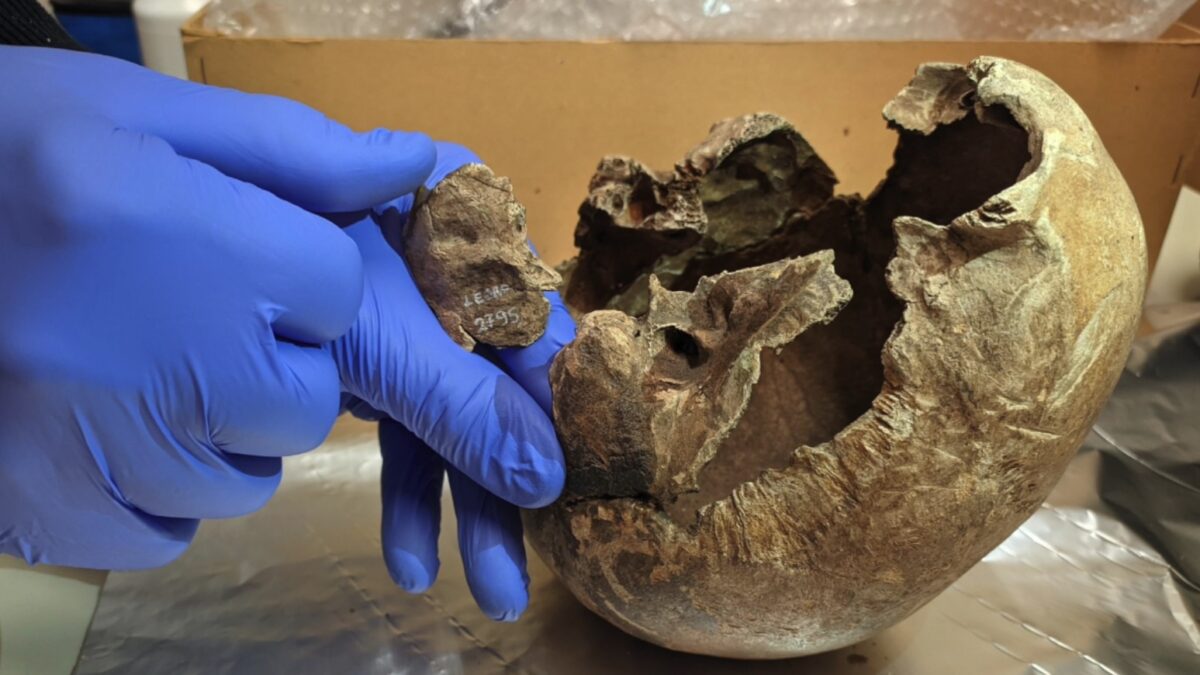 Ledro, dal Dna degli abitanti preistorici a oggi