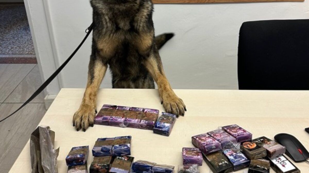 Carabinieri: a Bolzano sequestrati quasi 9 kg di hashish