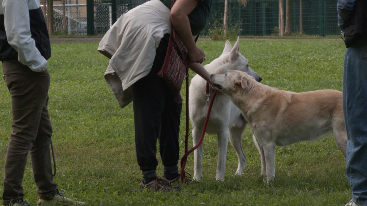 FOTO-1-servizo-TG-scaled-aspect-ratio-1200-675