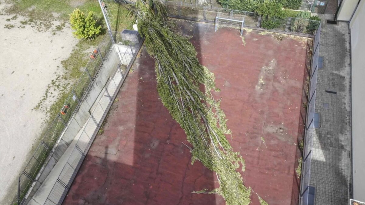 Maltempo a Merano: un albero piomba sul campetto di Santa Maria Assunta