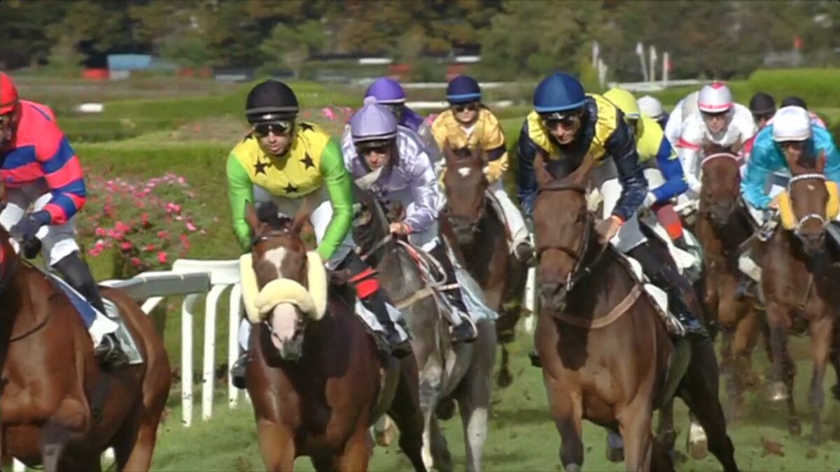 Ippica: tutto pronto per l’86esimo Gran Premio Merano