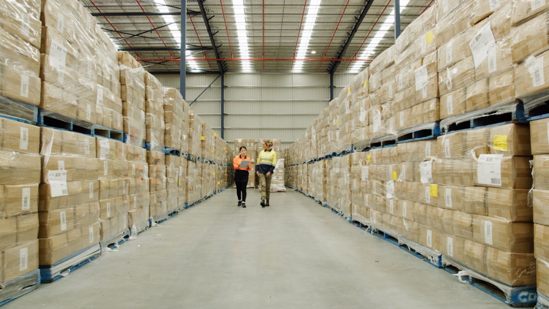 crisi export economia