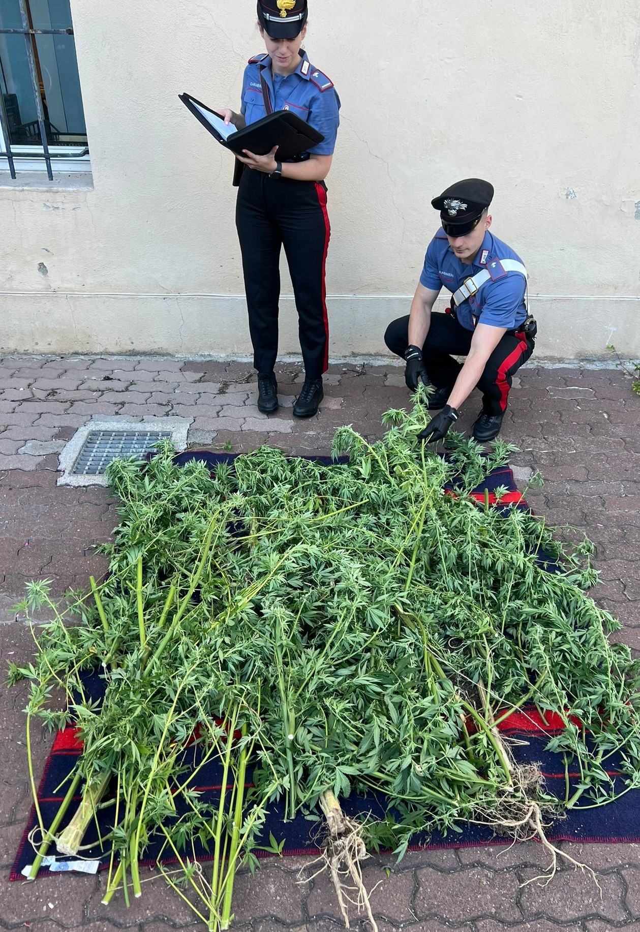 11.10.2025 stupefacente in sequestro