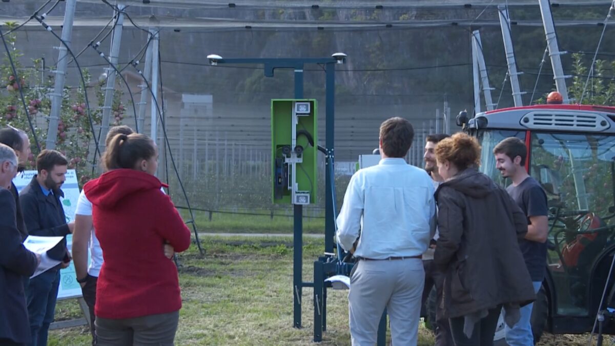 Trappole intelligente in aiuto dell’agricoltura