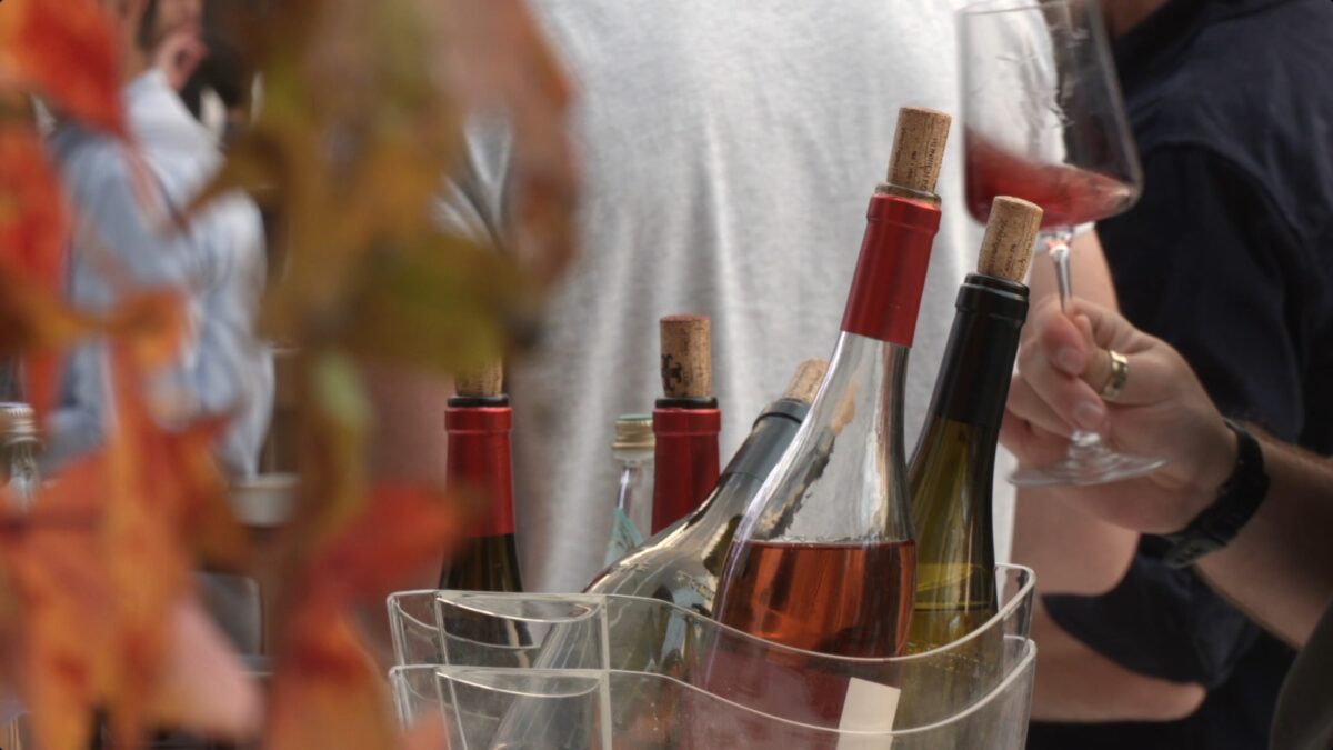 Vinea Tirolensis: in assaggio i vini di oltre 80 produttori indipendenti