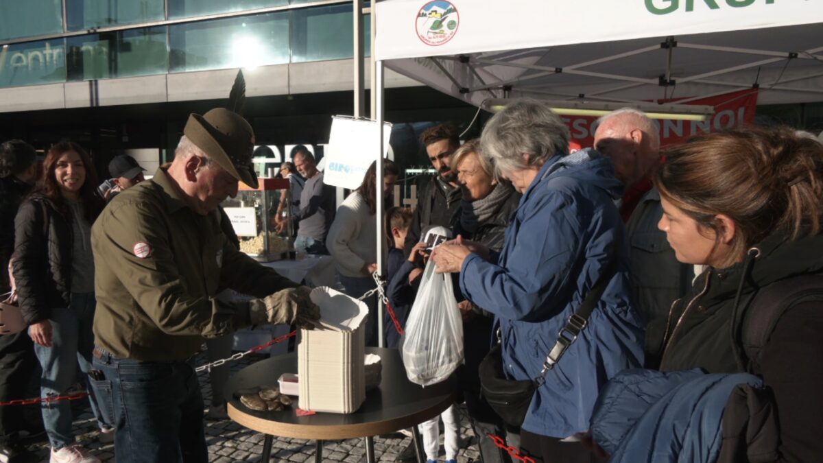 Screenshot-2025-10-25-alle-12.50.41-scaled-aspect-ratio-1200-675