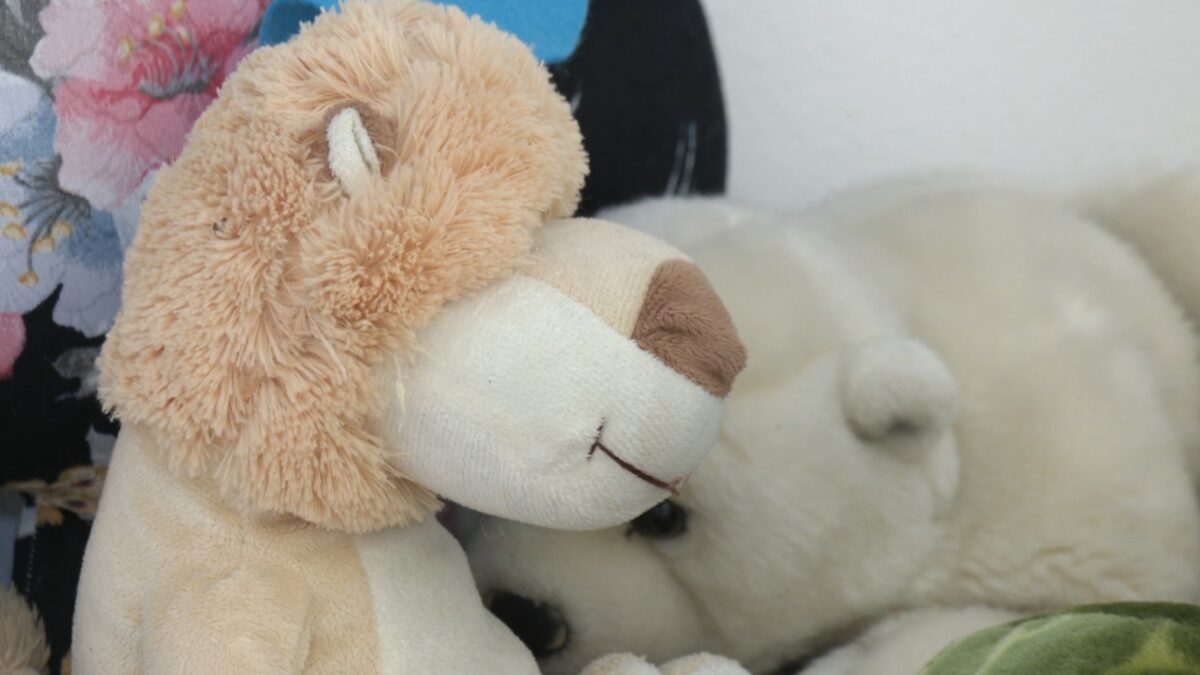 Caso Vettori: Cirimbelli invita ad abbassare i toni