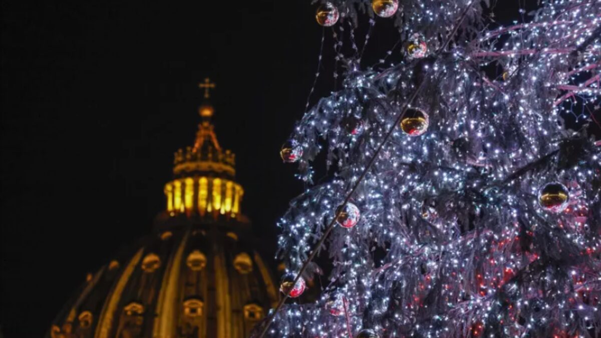 albero-scaled-aspect-ratio-1200-675