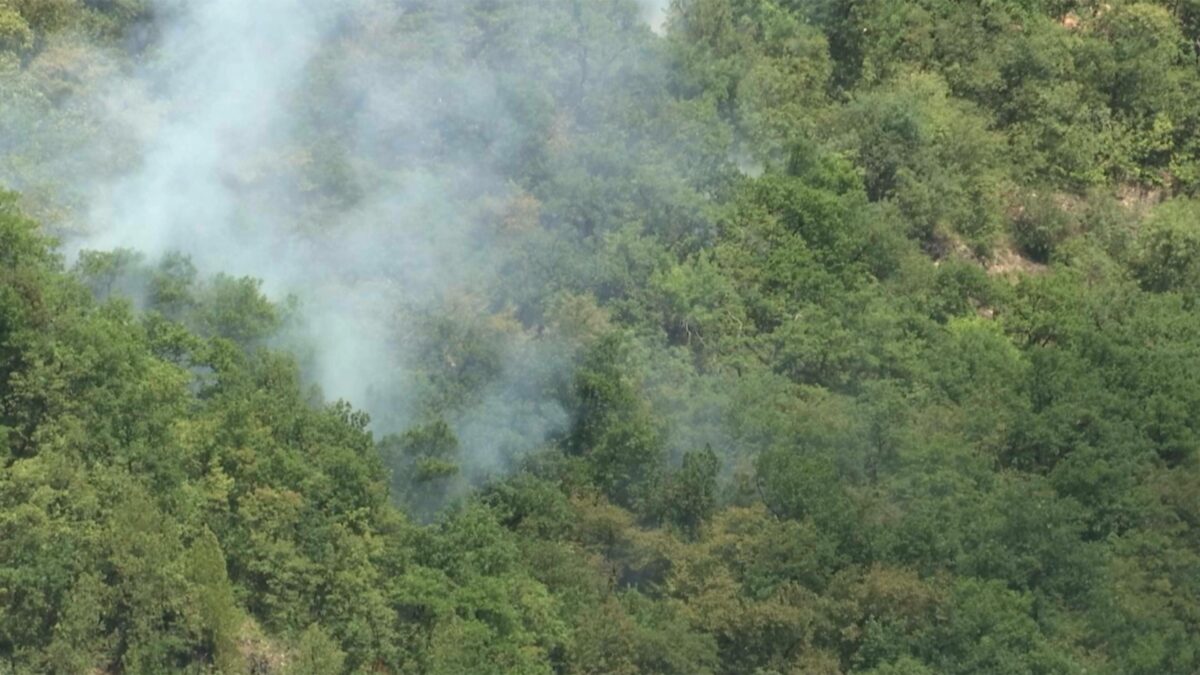 incendio-bosco-scaled-aspect-ratio-1200-675