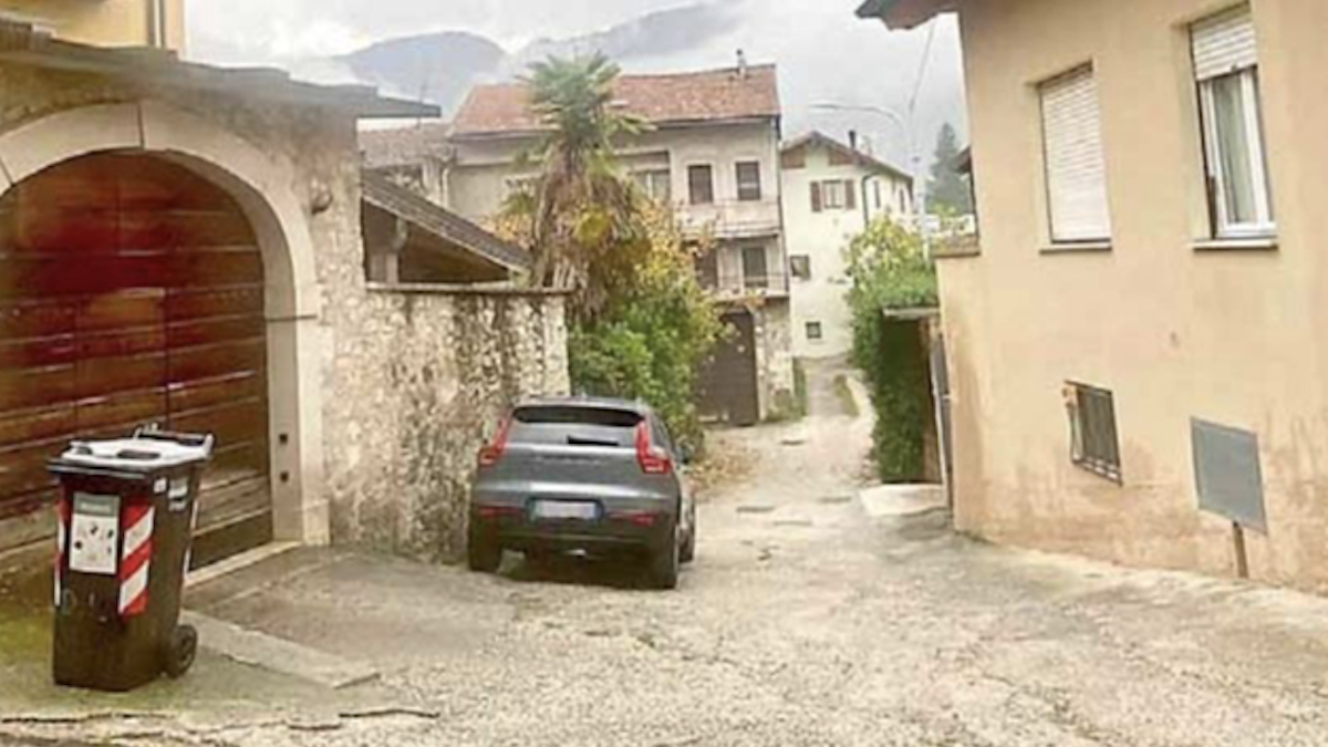 FOTO-orso-tierno-aspect-ratio-1200-675