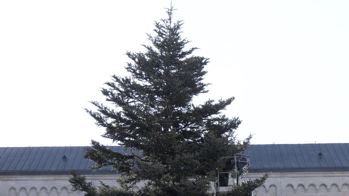 Trento si prepara per il Natale; sabato 22 novembre l’accensione dell’albero