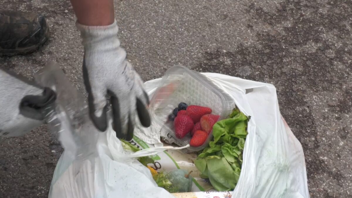 Buone pratiche per ridurre lo spreco alimentare