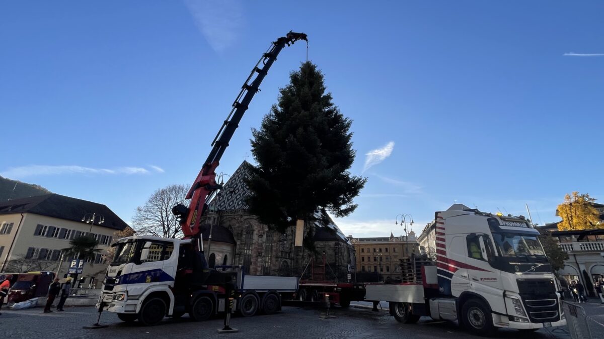 albero-natale-piazza-walther-scaled-aspect-ratio-1200-675