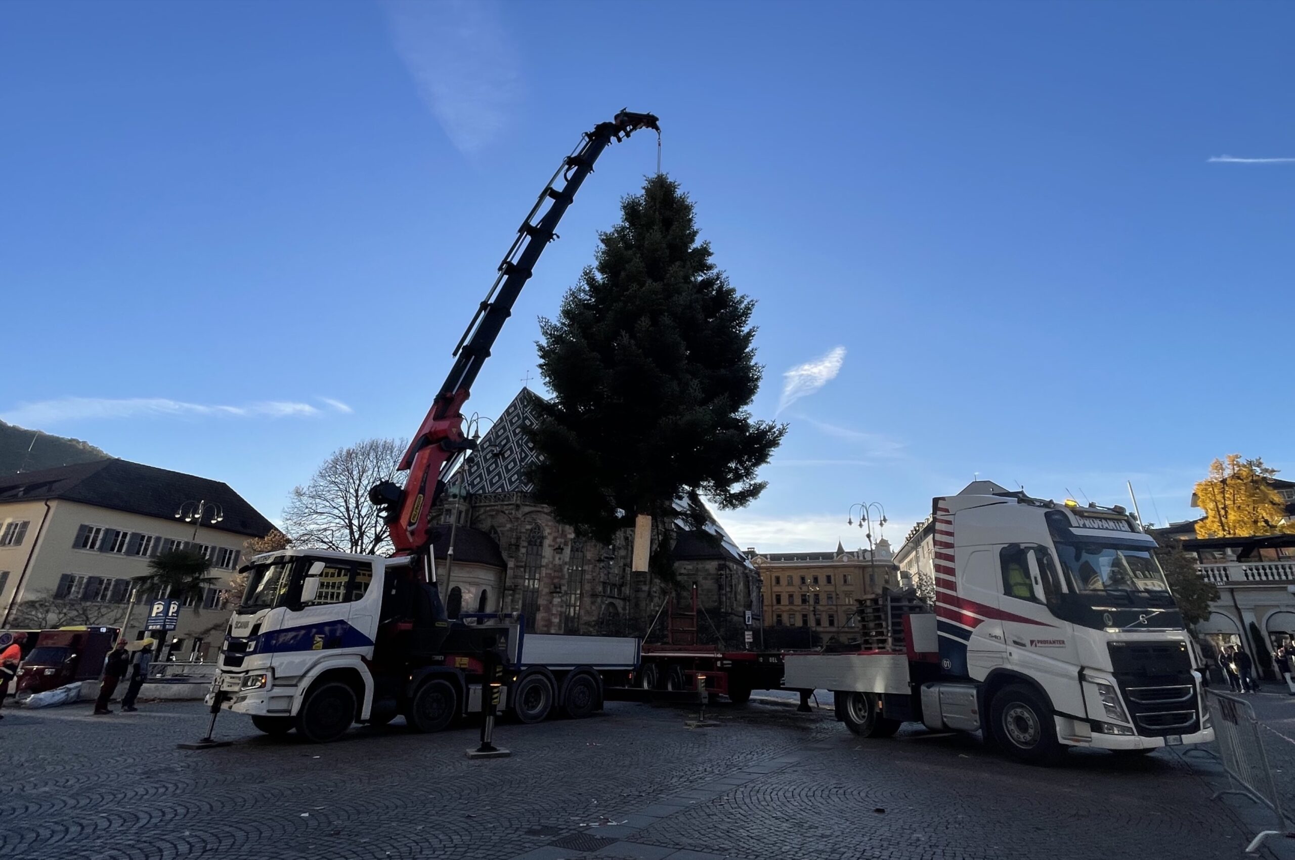 albero natale piazza walther