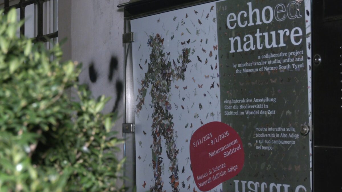 Un viaggio nel tempo per scoprire com’è cambiata la biodiversità in Trentino Alto Adige