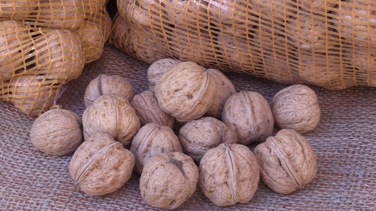 La noce del Bleggio, un weekend dedicato a una specialità dalla lunga tradizione