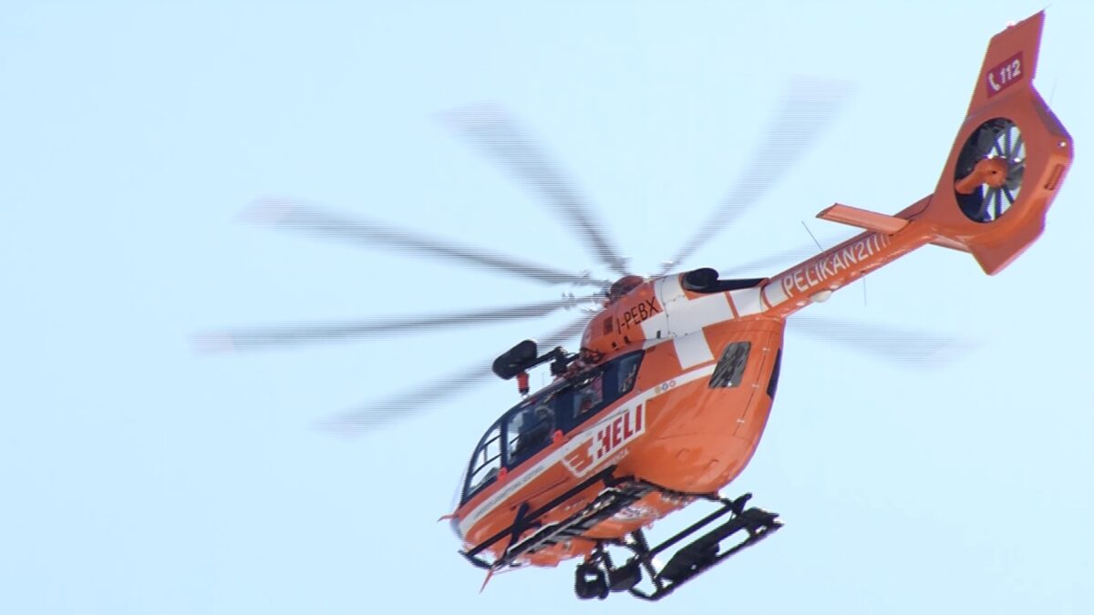 pelikan-2-scaled-aspect-ratio-1200-675