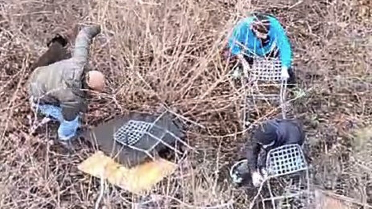 FOTO-bindesi-ok-aspect-ratio-1200-675