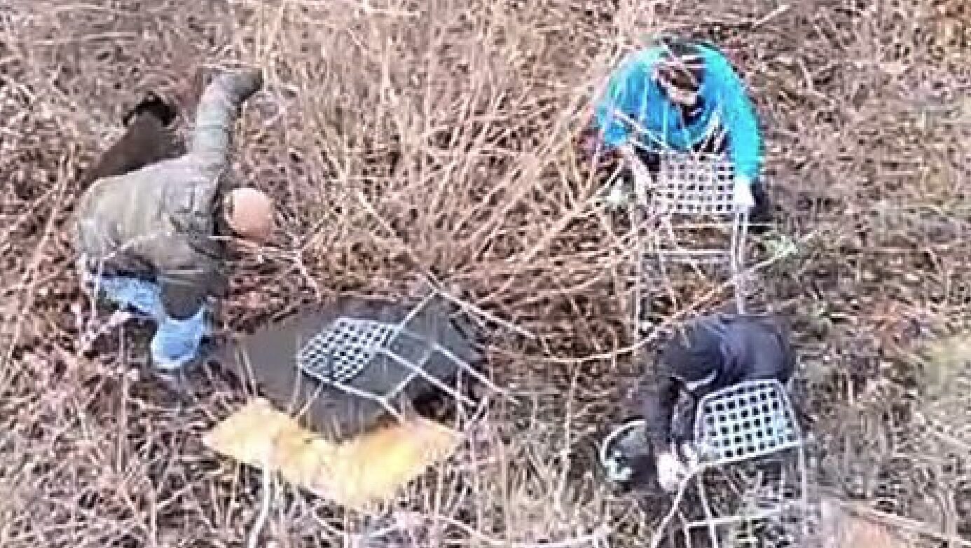 FOTO-bindesi-ok-aspect-ratio-1386-782