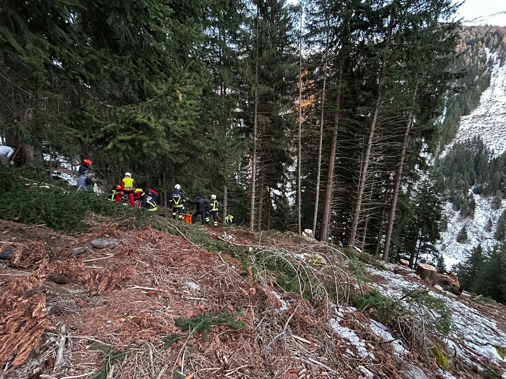 FOTO boscaiolo1