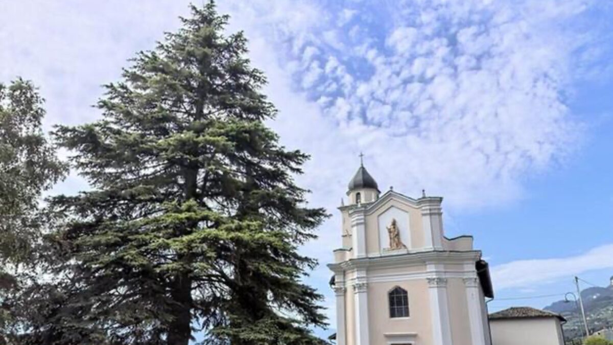 FOTO-cedri-pedersano-scaled-aspect-ratio-1200-675