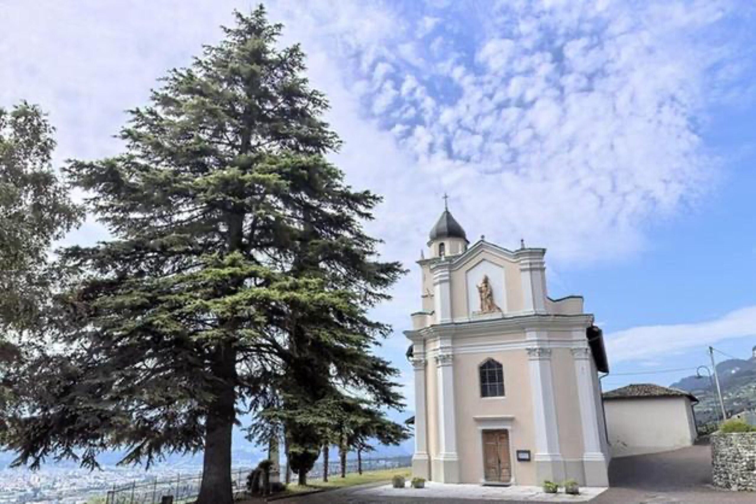 FOTO cedri pedersano