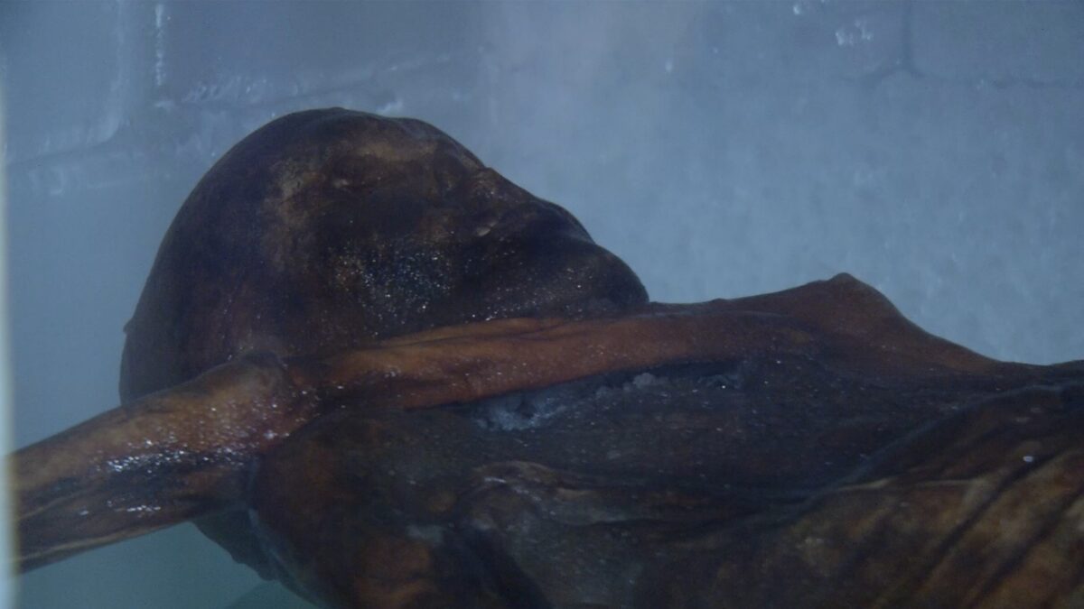 Screenshot-2025-12-24-alle-17.06.06-1-scaled-aspect-ratio-1200-675