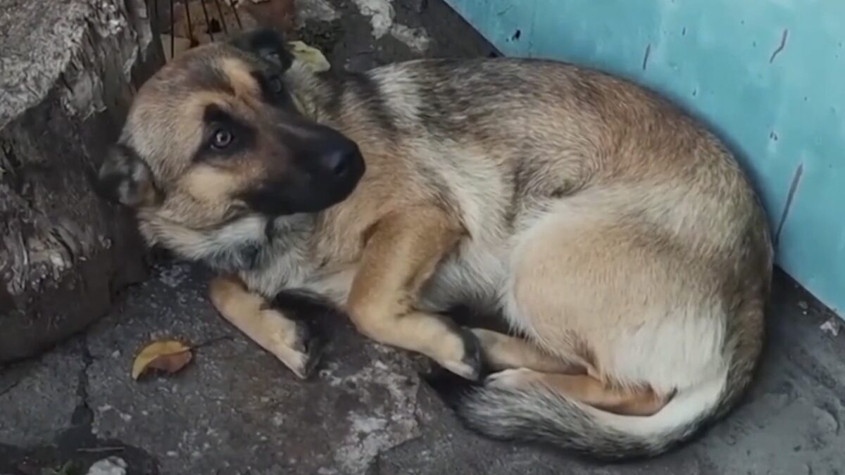 Screenshot-2025-12-31-alle-11.49.18-scaled-aspect-ratio-1200-675