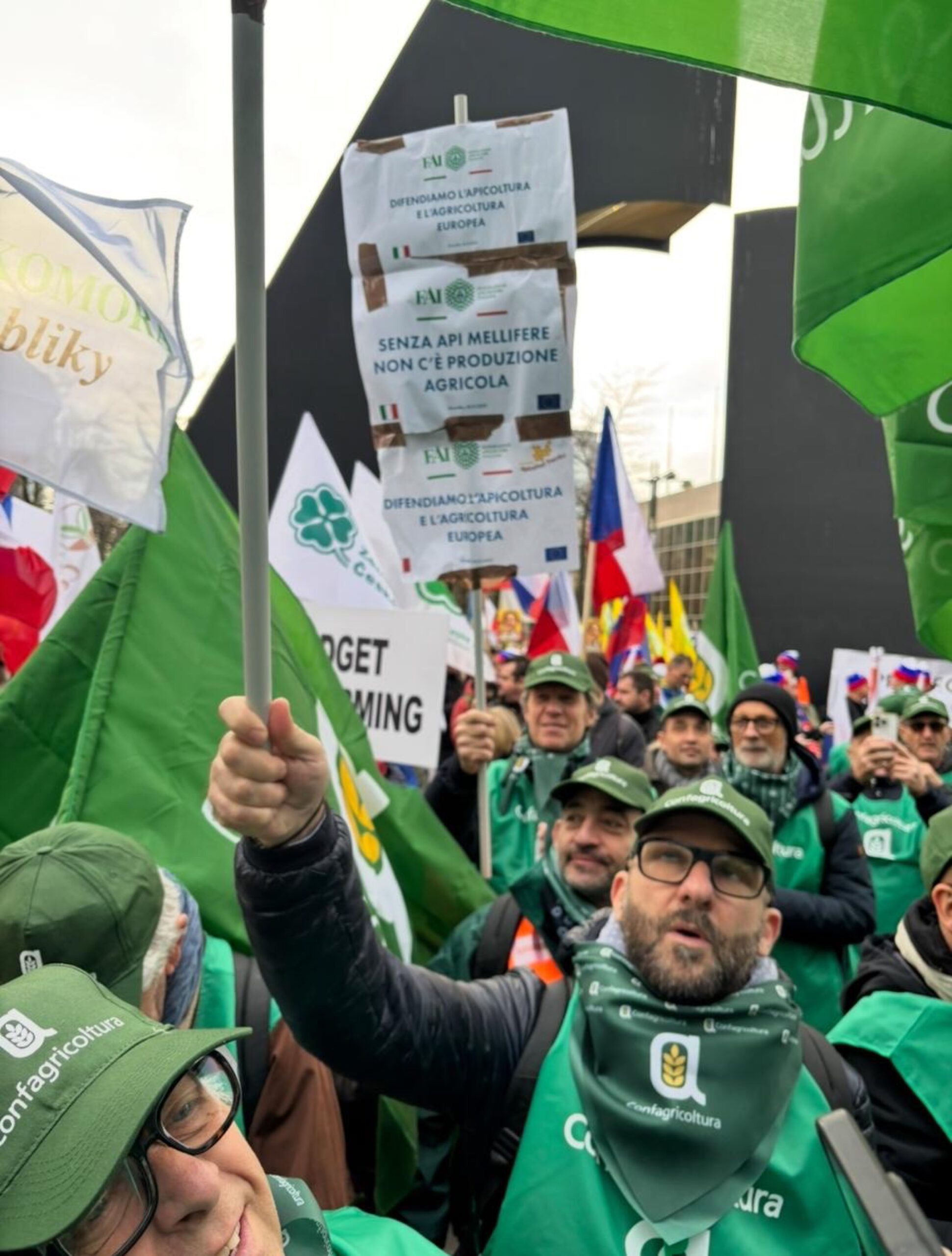 WhatsApp Image 2025-12-18 at 11.13.42