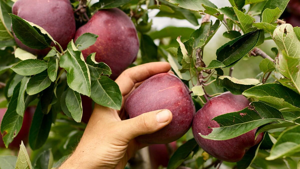 FOTO-bilancio-la-Trentina-aspect-ratio-1200-675