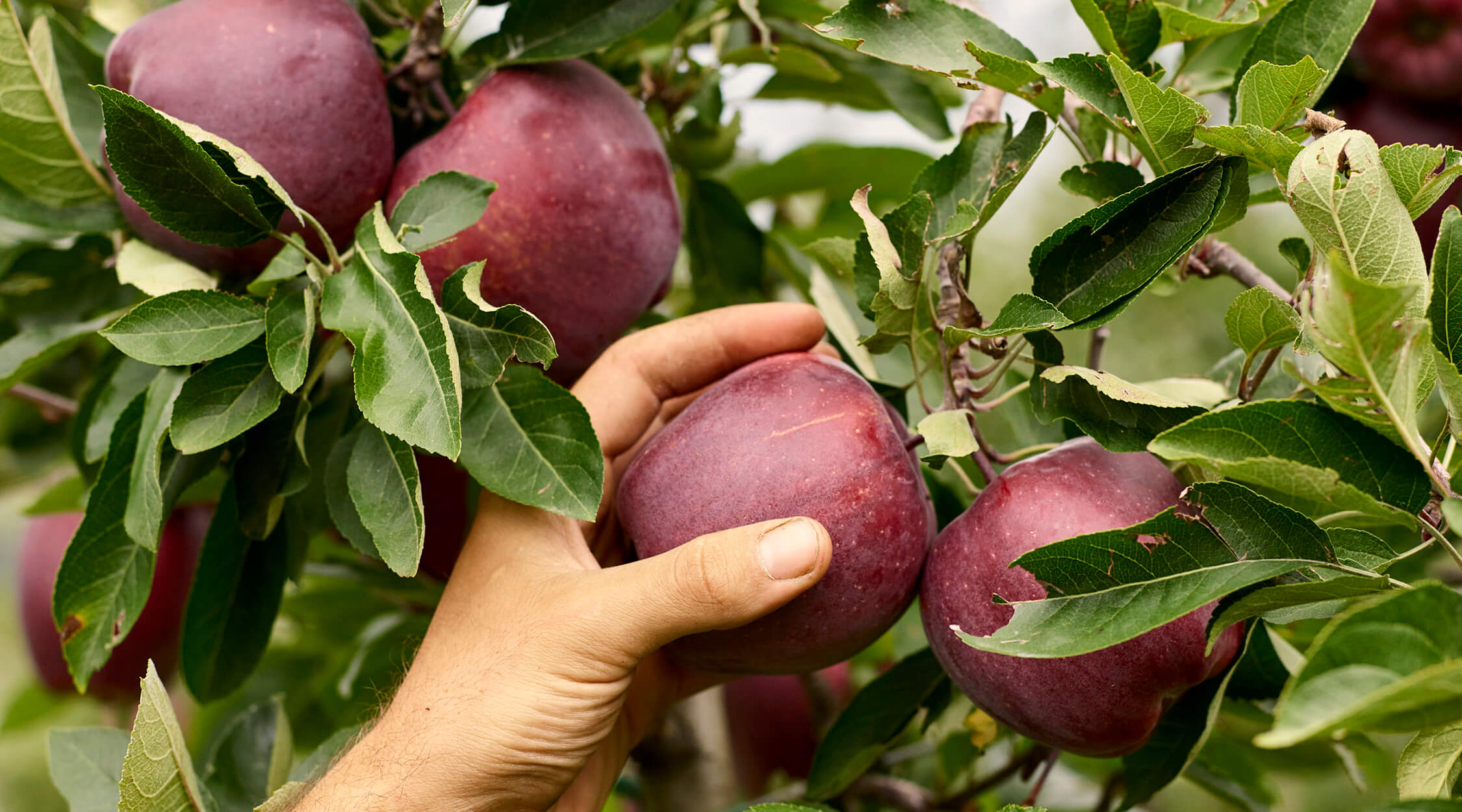 FOTO bilancio la Trentina