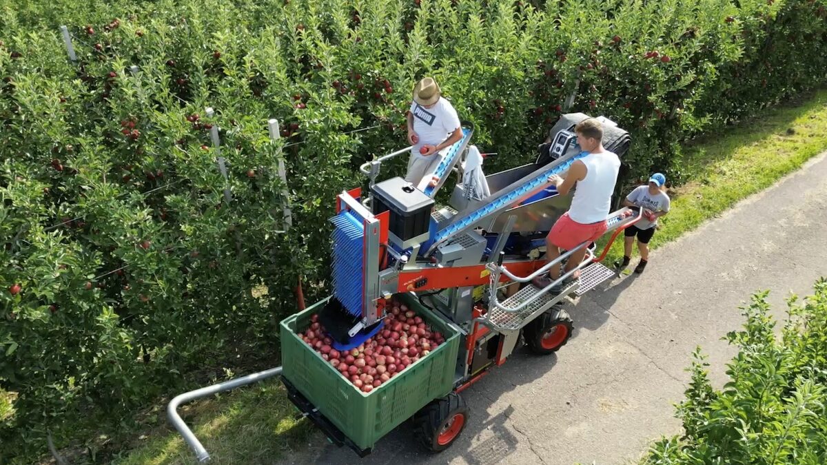 FOTO-costruzioni-su-aree-agricole-aspect-ratio-1200-675