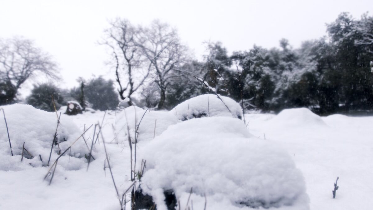 FOTO-venerdi-neve-aspect-ratio-1200-675