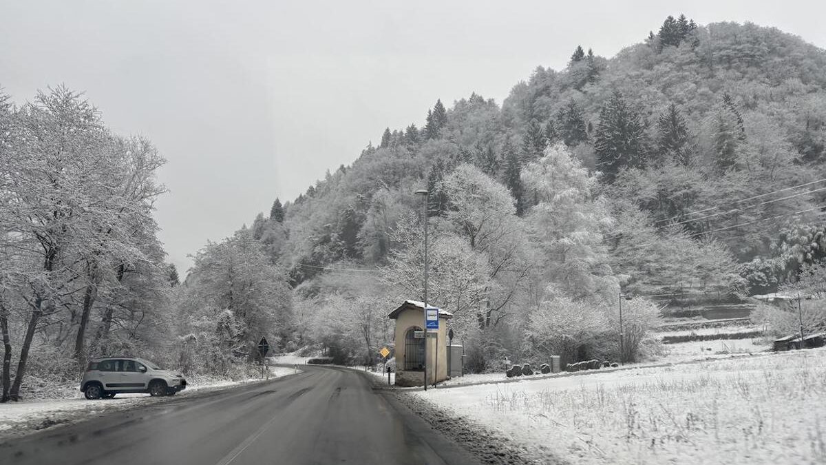 IMG-1441-imagefullwide-aspect-ratio-1200-675