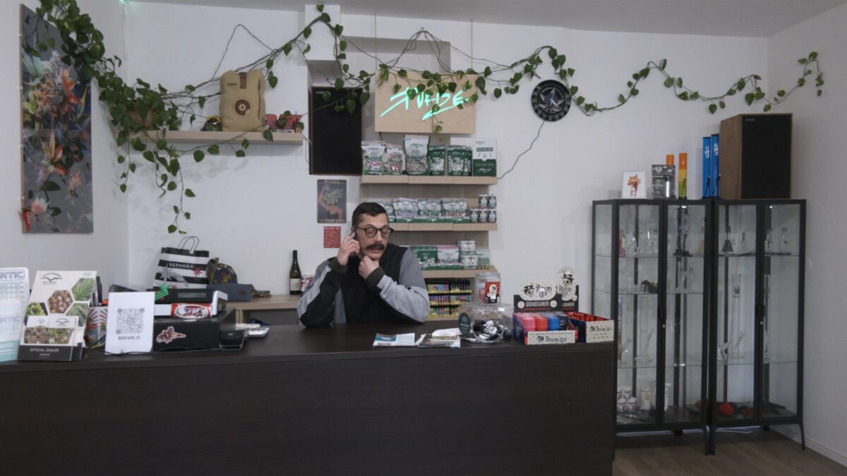 Cannabis light: la merce resta sotto sequestro