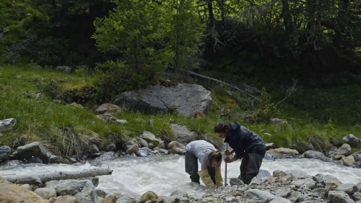 Ricco ma fragile: la biodiversità dell’Alto Adige è in pericolo