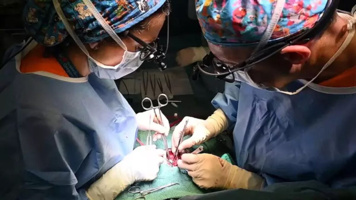 Trapianto di cuore fallito: sei indagati tra Bolzano e Napoli