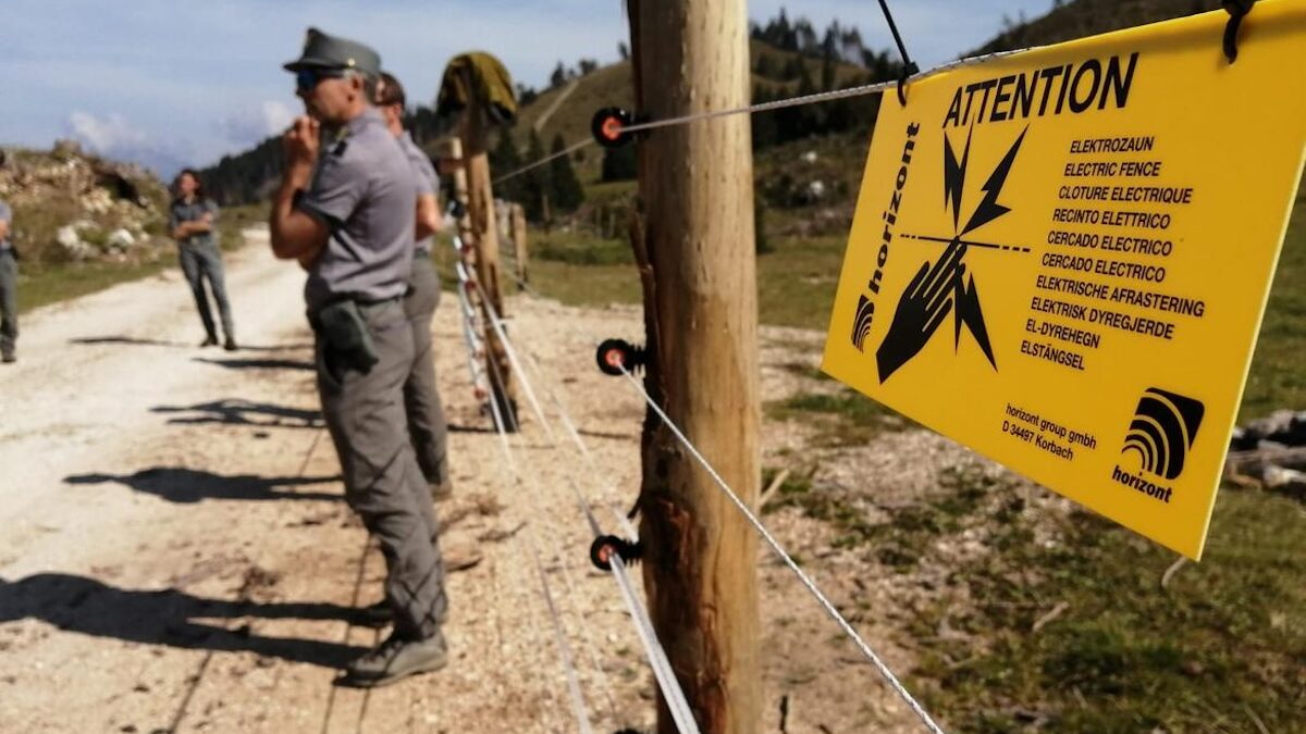 FOTO-lupi-a-garniga-aspect-ratio-1200-675