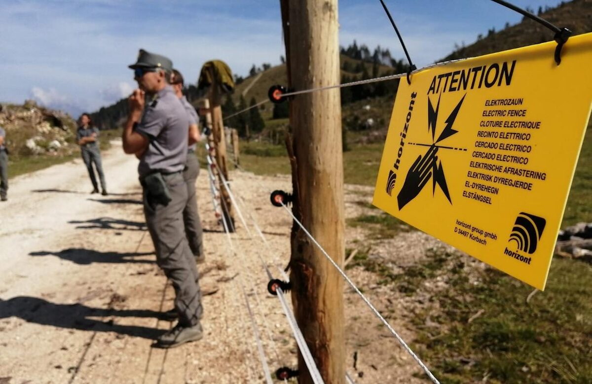 FOTO-lupi-a-garniga-aspect-ratio-1200-779