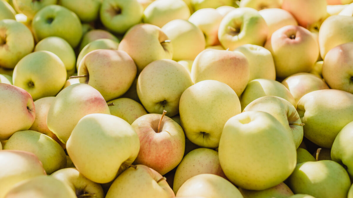 FOTO-mele-export-scaled-aspect-ratio-1200-675