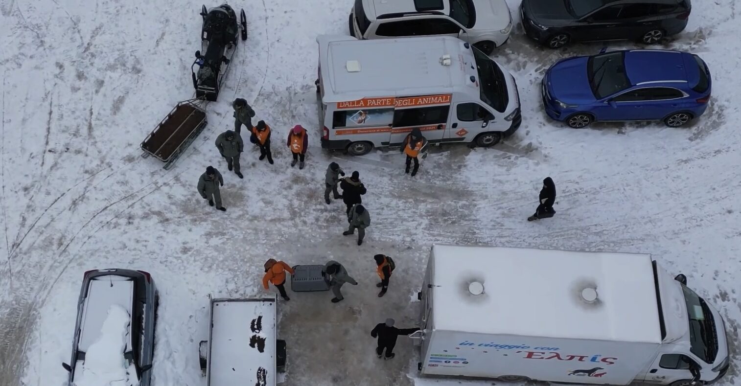 FOTO-youplay-cani-aspect-ratio-1514-789