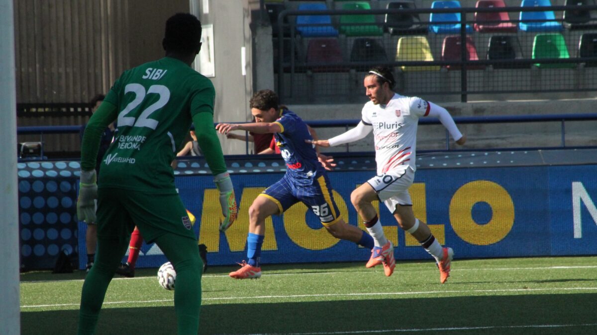 Candelari-aspect-ratio-1200-675