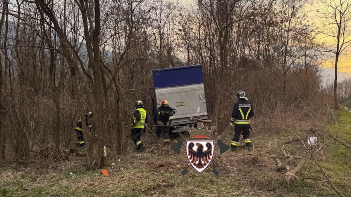 FOTO-finisce-nel-bosco-1-aspect-ratio-1200-675