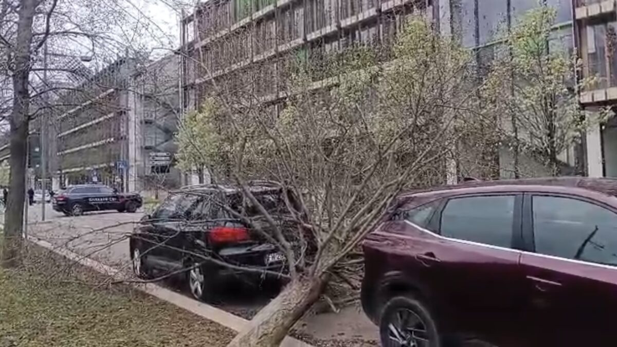 FOTO-raffiche-aspect-ratio-1200-675