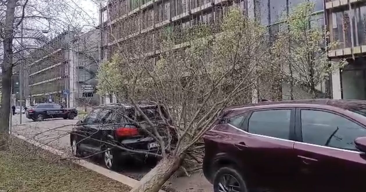 FOTO-raffiche-aspect-ratio-1260-664