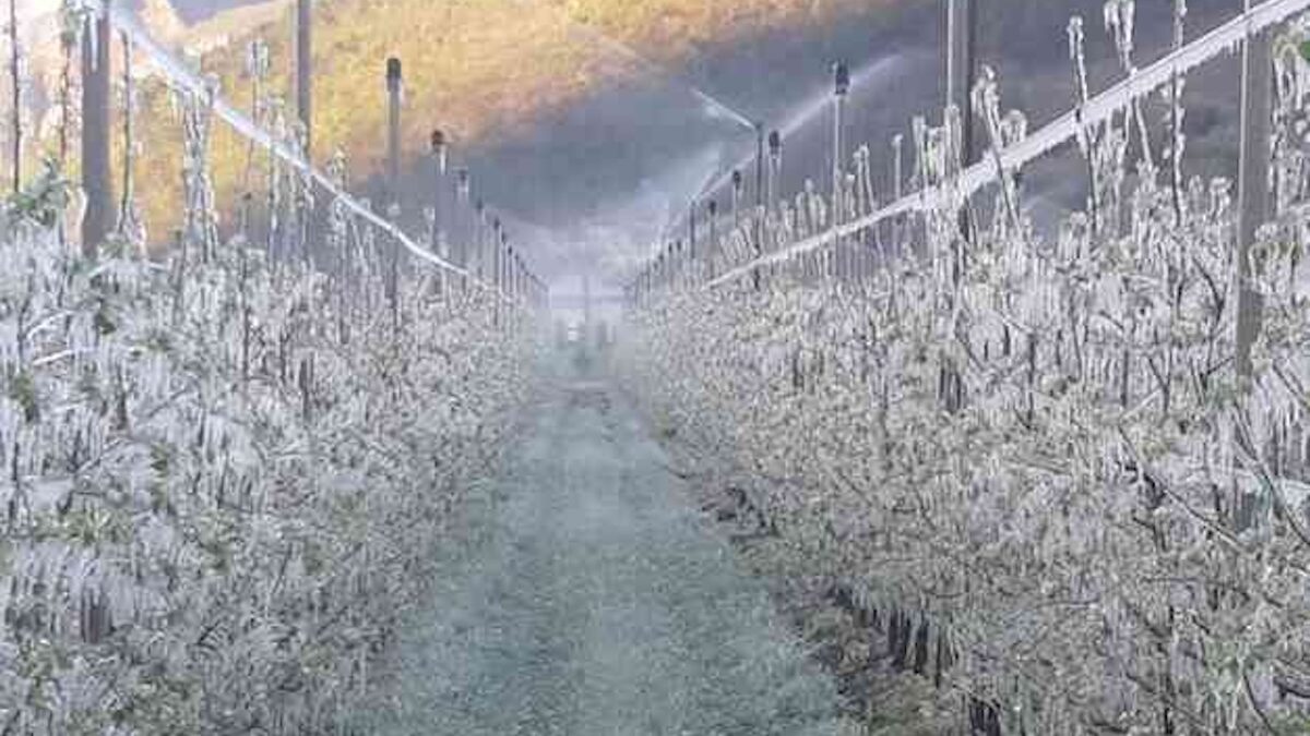 FOTO-rischio-gelate-aspect-ratio-1200-675