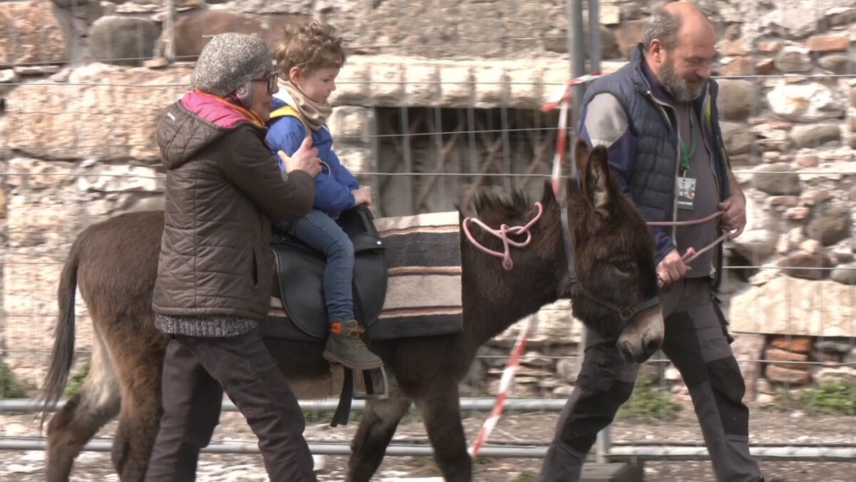 A Trento oggi e domani la 79esima Mostra dell’Agricoltura